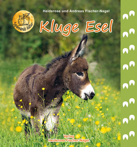 Kluge Esel
