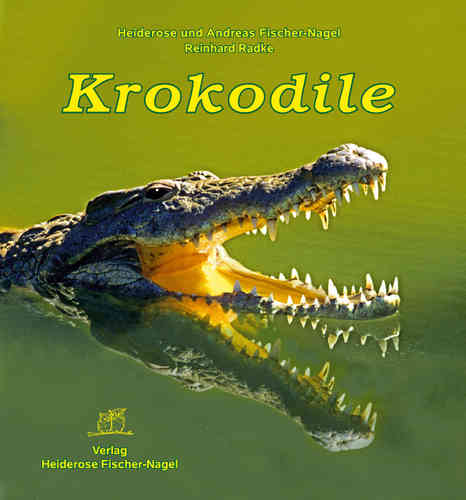 Krokodide