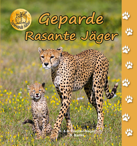 Geparde - Rasante Jäger