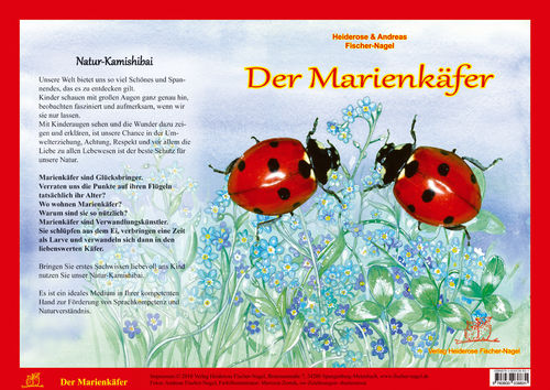 Natur-Kamishibai Der Marienkäfer